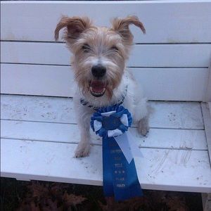 Meet your Posher, Mj